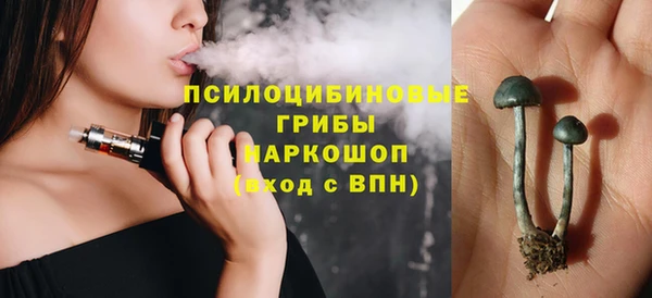 прущий лед Бородино