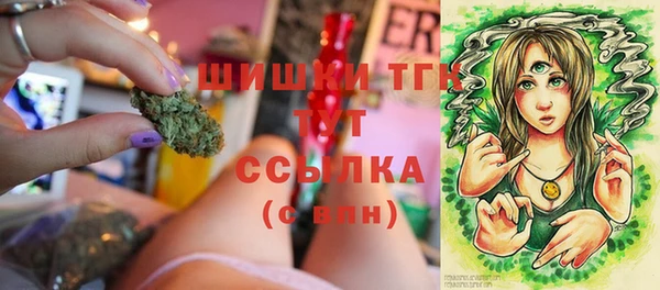 сатива Бугульма