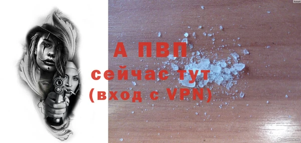 стаф Чита