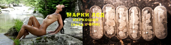 прущий лед Бородино