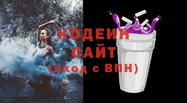 2c-b Инсар