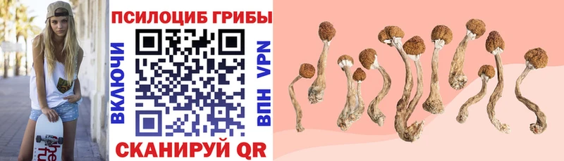 Галлюциногенные грибы ЛСД  наркошоп  Верхотурье 